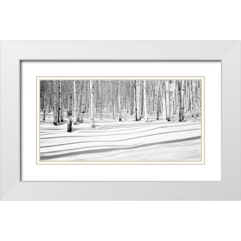 Aspen Shadows White Modern Wood Framed Art Print with Double Matting by Butcher, Dave