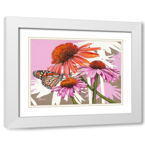 Echinacea White Modern Wood Framed Art Print with Double Matting by Bernard, Anne