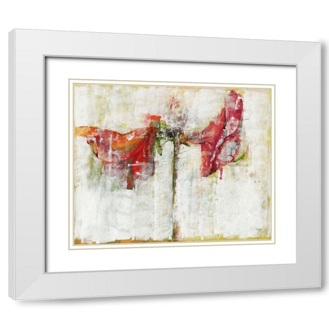 Amaryllies White Modern Wood Framed Art Print with Double Matting by Dreyer, Ingeborg