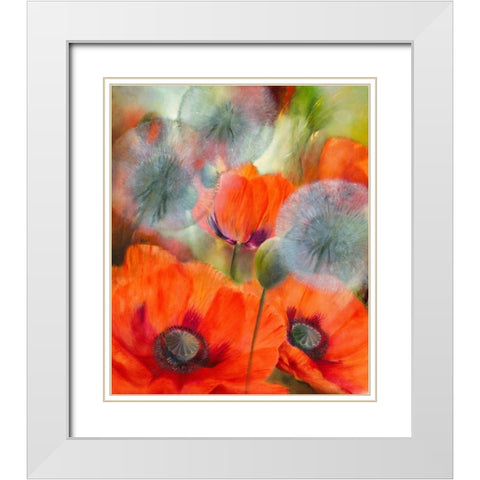 Mohn und Pustelblumen White Modern Wood Framed Art Print with Double Matting by Schmucker, Annette