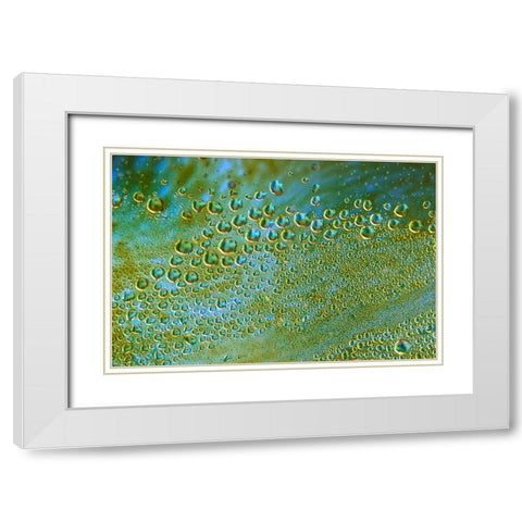The Green Hornets White Modern Wood Framed Art Print with Double Matting by NUPHO
