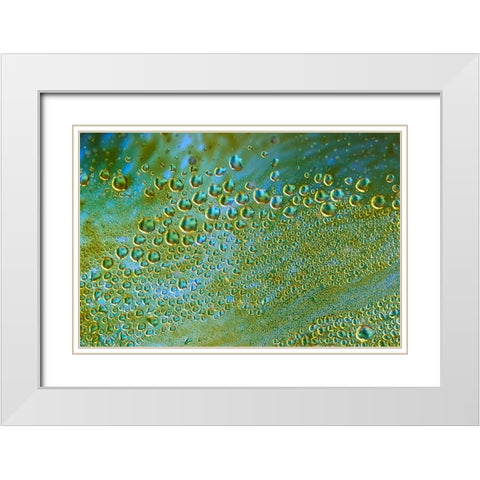 The Green Hornets White Modern Wood Framed Art Print with Double Matting by NUPHO