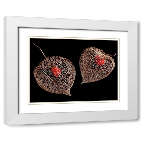 Lantern Hearts White Modern Wood Framed Art Print with Double Matting by Weber, Matthias