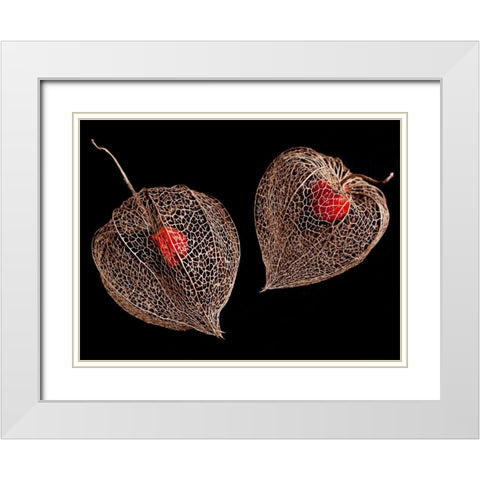 Lantern Hearts White Modern Wood Framed Art Print with Double Matting by Weber, Matthias