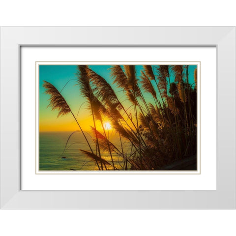 Shining Reed White Modern Wood Framed Art Print with Double Matting by Lichtenwalter, Tom