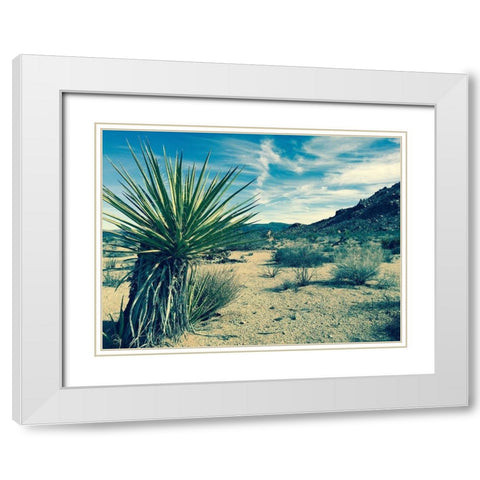 Lonesome White Modern Wood Framed Art Print with Double Matting by Lichtenwalter, Tom
