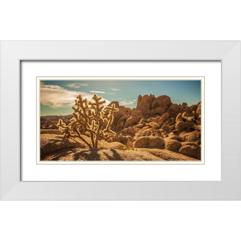 Desert Foreground White Modern Wood Framed Art Print with Double Matting by Lichtenwalter, Tom