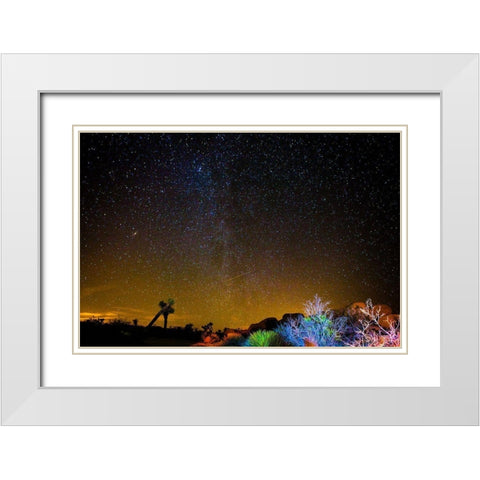 Stars over Joshua White Modern Wood Framed Art Print with Double Matting by Lichtenwalter, Tom