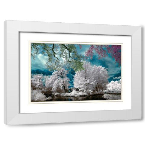 Cayac,Gradignan - Infrared Photography  White Modern Wood Framed Art Print with Double Matting by Gee, Tonee