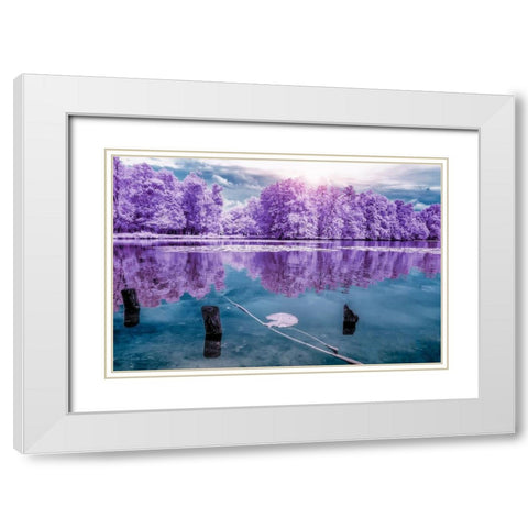 Majolan s Park Reflections I-Bordeaux - Infrared and UV photography  White Modern Wood Framed Art Print with Double Matting by Gee, Tonee