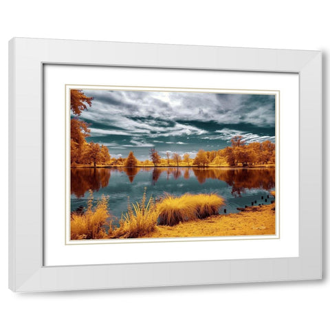 Majolan s Park Reflections II-Bordeaux - Infrared and UV Photography  White Modern Wood Framed Art Print with Double Matting by Gee, Tonee