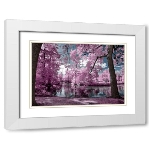 Bordeaux s Park - Infrared Photography  White Modern Wood Framed Art Print with Double Matting by Gee, Tonee