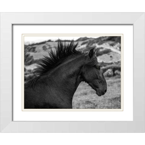 Menorcan Beauty White Modern Wood Framed Art Print with Double Matting by Llovet, Jorge