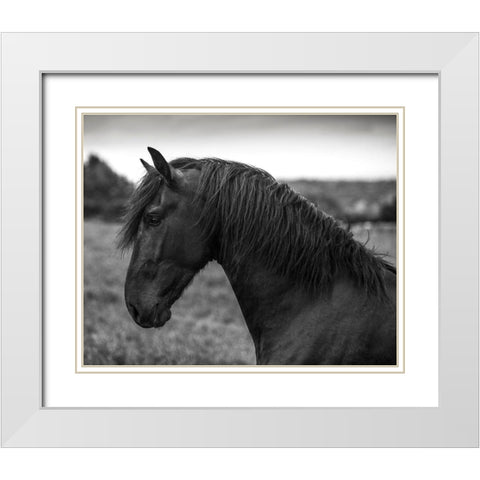 Strong Look White Modern Wood Framed Art Print with Double Matting by Llovet, Jorge