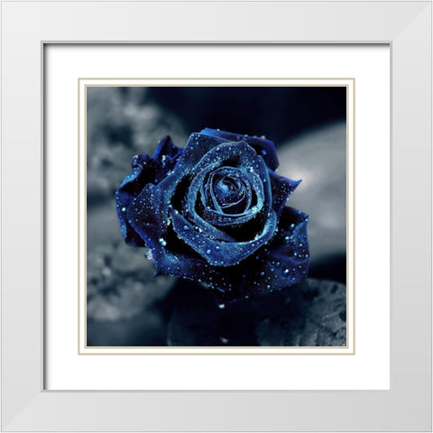 Crystal White Modern Wood Framed Art Print with Double Matting by Seidel, Lily Andrea