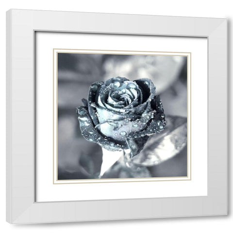 Metallica White Modern Wood Framed Art Print with Double Matting by Seidel, Lily Andrea