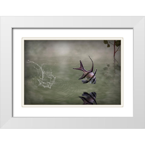 Banggai Cardinalfish White Modern Wood Framed Art Print with Double Matting by Visser, Michiel