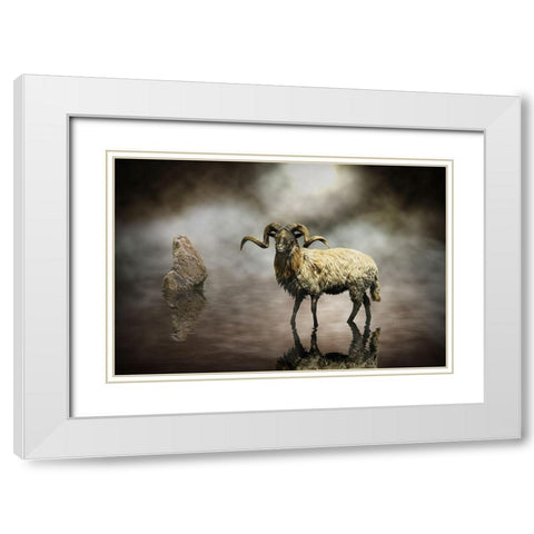 Sheep White Modern Wood Framed Art Print with Double Matting by Visser, Michiel