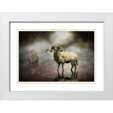 Sheep White Modern Wood Framed Art Print with Double Matting by Visser, Michiel