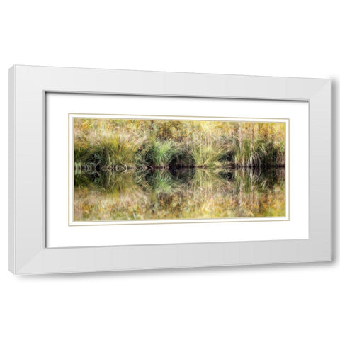 Glasgras White Modern Wood Framed Art Print with Double Matting by Steger, Uwe