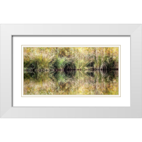 Glasgras White Modern Wood Framed Art Print with Double Matting by Steger, Uwe