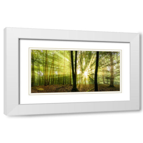 Nebelstimmung  mit Sonne im Wald White Modern Wood Framed Art Print with Double Matting by Fischer, Rolf