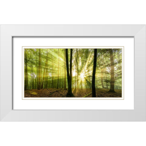 Nebelstimmung  mit Sonne im Wald White Modern Wood Framed Art Print with Double Matting by Fischer, Rolf