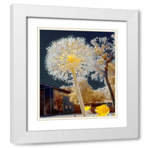 Infrared Macro White Modern Wood Framed Art Print with Double Matting by Gee, Tonee