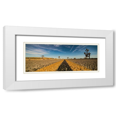 Joshua White Modern Wood Framed Art Print with Double Matting by Lichtenwalter, Tom