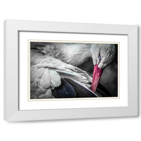 The Stork White Modern Wood Framed Art Print with Double Matting by Ronin