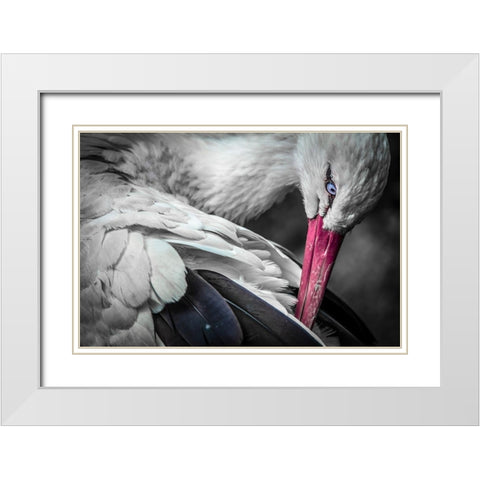 The Stork White Modern Wood Framed Art Print with Double Matting by Ronin