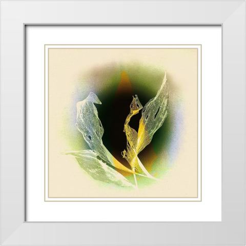 Verdeckt White Modern Wood Framed Art Print with Double Matting by Baumann, Matthias
