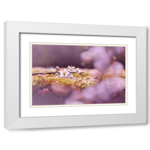 Aurore White Modern Wood Framed Art Print with Double Matting by Strohmenger, Gaelle