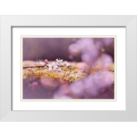 Aurore White Modern Wood Framed Art Print with Double Matting by Strohmenger, Gaelle