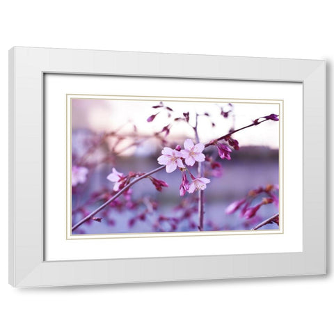 Crepuscule White Modern Wood Framed Art Print with Double Matting by Strohmenger, Gaelle
