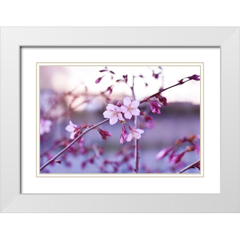 Crepuscule White Modern Wood Framed Art Print with Double Matting by Strohmenger, Gaelle