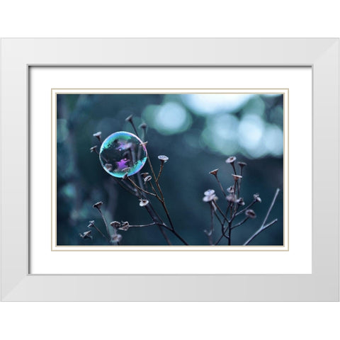 Fragile Perle White Modern Wood Framed Art Print with Double Matting by Strohmenger, Gaelle