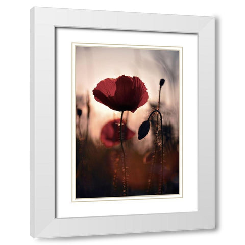 Vanite White Modern Wood Framed Art Print with Double Matting by Strohmenger, Gaelle