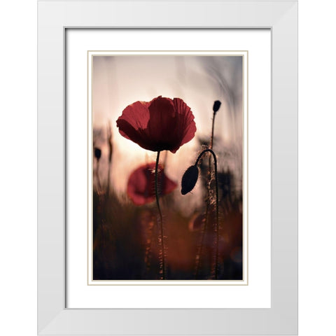 Vanite White Modern Wood Framed Art Print with Double Matting by Strohmenger, Gaelle