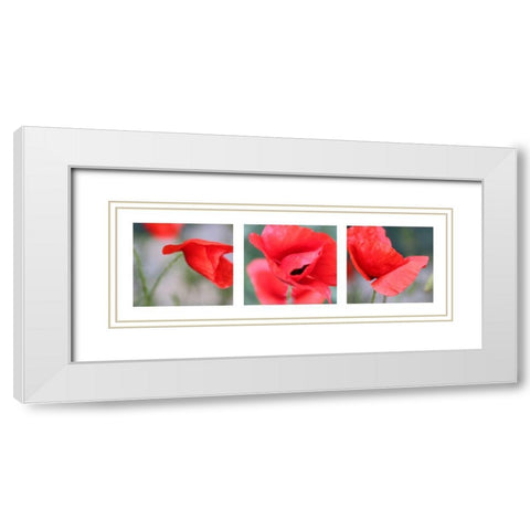 Mohn White Modern Wood Framed Art Print with Double Matting by MIRA