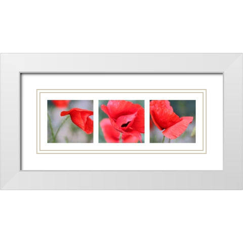Mohn White Modern Wood Framed Art Print with Double Matting by MIRA