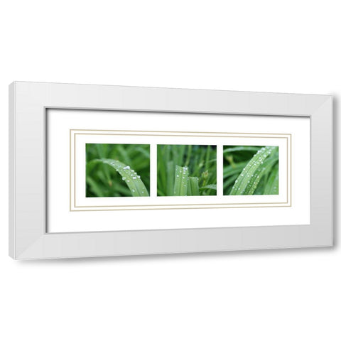 Raindrops White Modern Wood Framed Art Print with Double Matting by MIRA