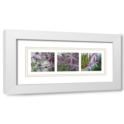 Allium I White Modern Wood Framed Art Print with Double Matting by MIRA