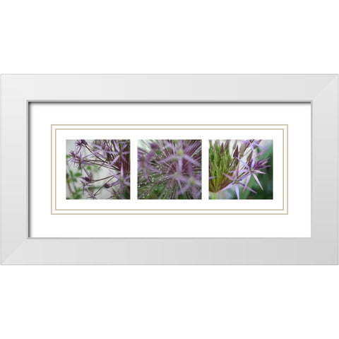 Allium I White Modern Wood Framed Art Print with Double Matting by MIRA
