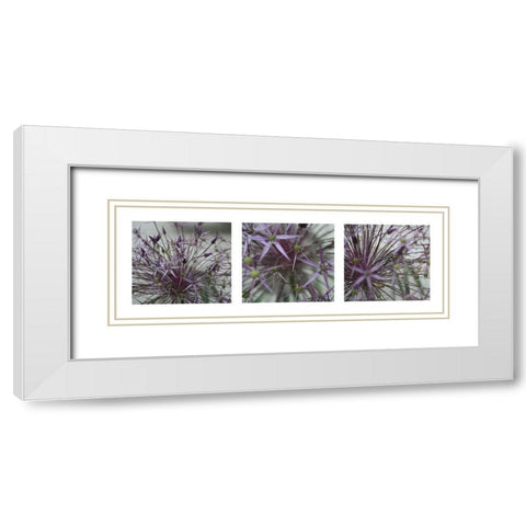 Allium II White Modern Wood Framed Art Print with Double Matting by MIRA