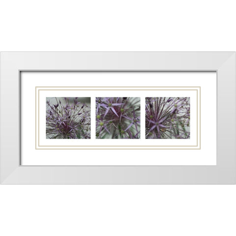 Allium II White Modern Wood Framed Art Print with Double Matting by MIRA
