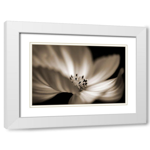 Die Tanzerin White Modern Wood Framed Art Print with Double Matting by Steger, Uwe
