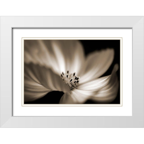 Die Tanzerin White Modern Wood Framed Art Print with Double Matting by Steger, Uwe