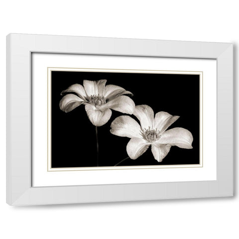 Stars II White Modern Wood Framed Art Print with Double Matting by Steger, Uwe