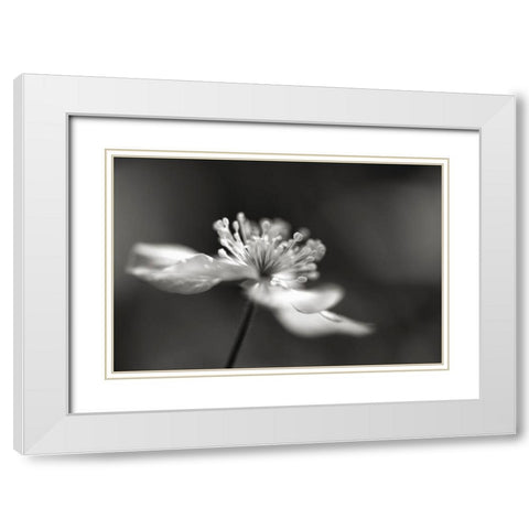 Stars III White Modern Wood Framed Art Print with Double Matting by Steger, Uwe